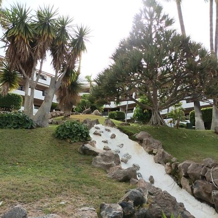Апартаменти Estudio En Tenerife Con Piscina / Study Flat With Pool Сан-Мігель-де-Абона Екстер'єр фото